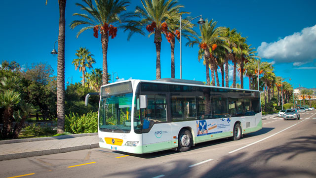 Autobus